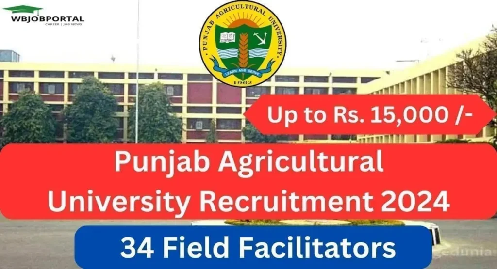 Punjab Agricultural University Recruitment 2024